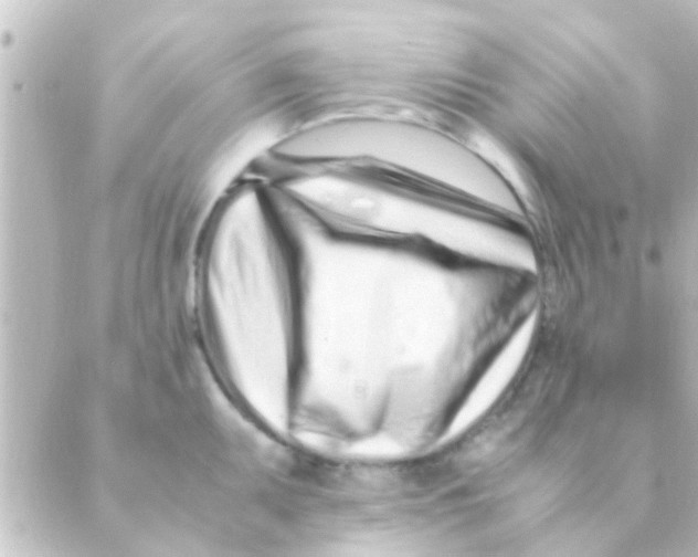 X0000088661095200706221629