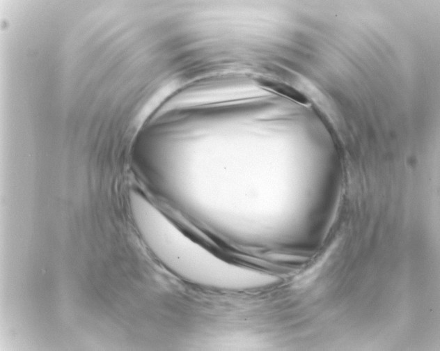 X0000088661097200706221629