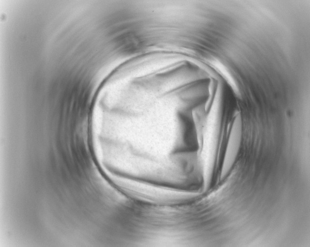 X0000088661100200706221629