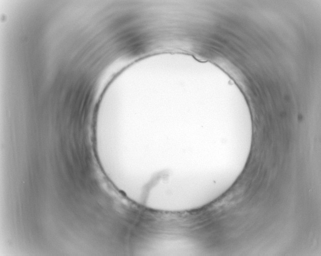 X0000088661104200706221629