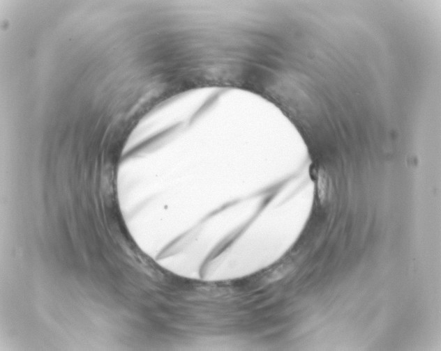 X0000088661107200706221628