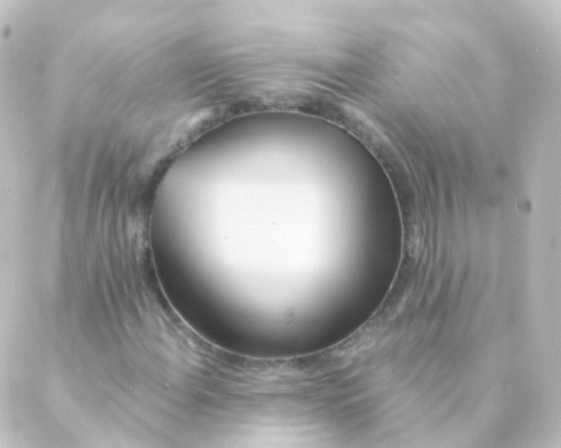 X0000088661108200706221628
