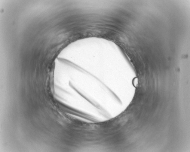 X0000088661109200706221628