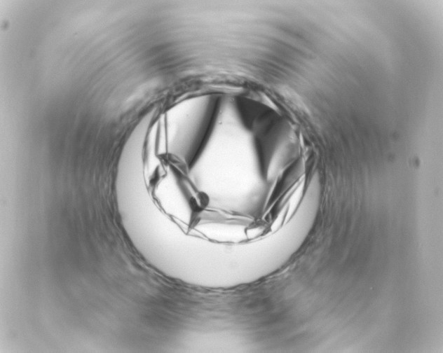 X0000088661110200706221628