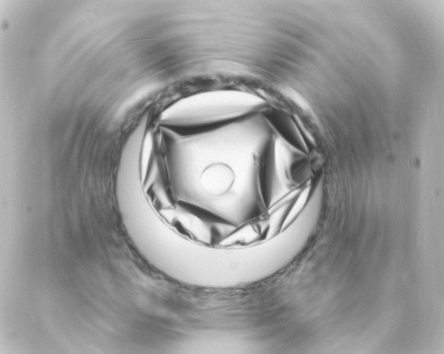 X0000088661112200706221628