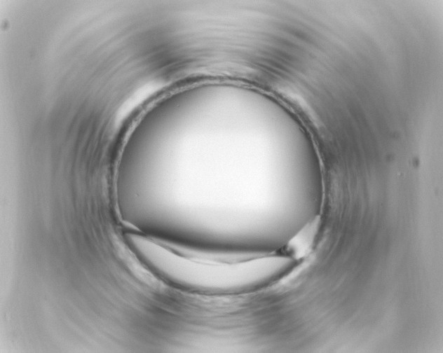 X0000088661114200706221628