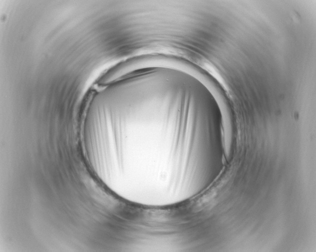 X0000088661116200706221628