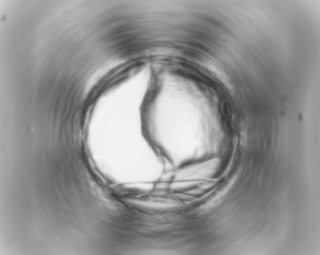 X0000088661117200706221628