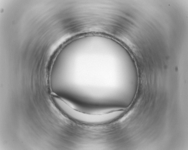 X0000088661118200706221628