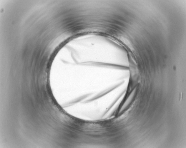 X0000088661119200706221628