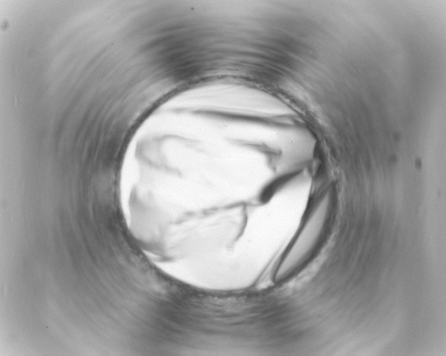 X0000088661121200706221628