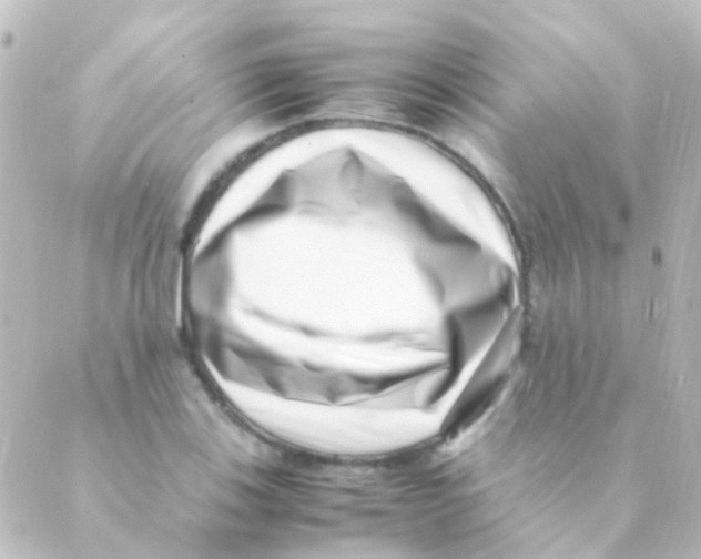 X0000088661123200706221628