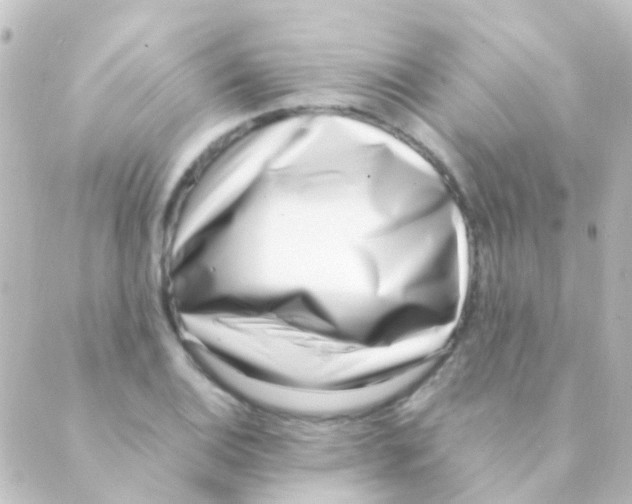 X0000088661124200706221628
