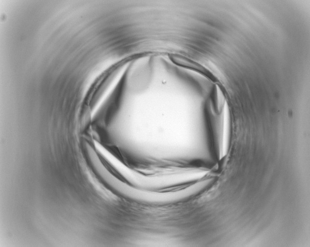 X0000088661128200706221628
