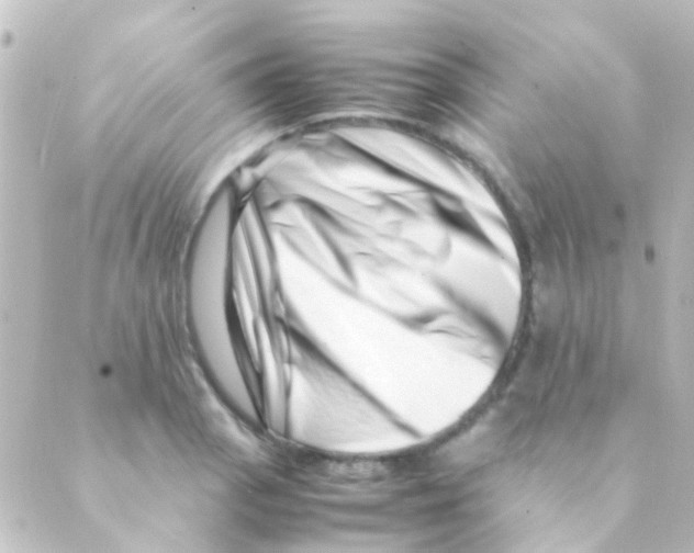 X0000088661129200706221629