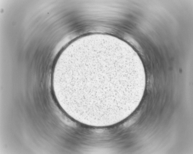 X0000088661130200706221629