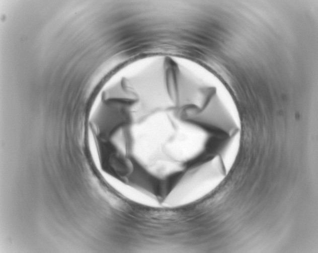 X0000088661131200706221629