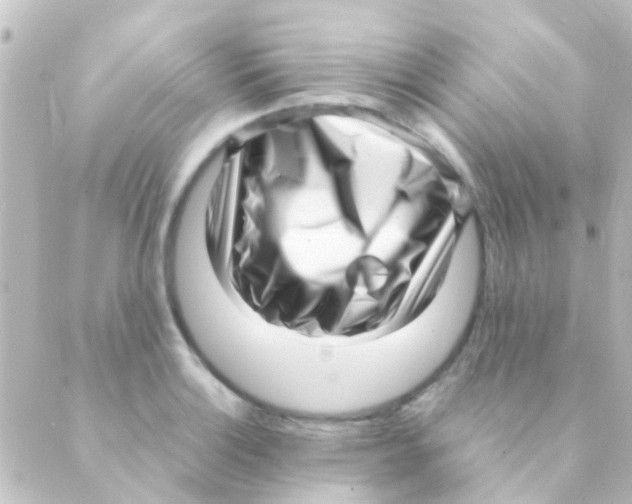 X0000088661132200706221629