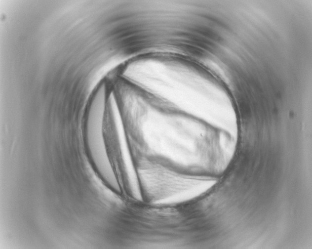 X0000088661133200706221629