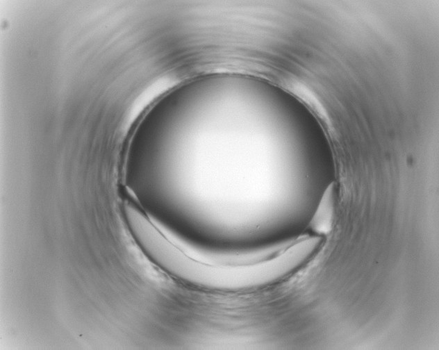 X0000088661138200706221629