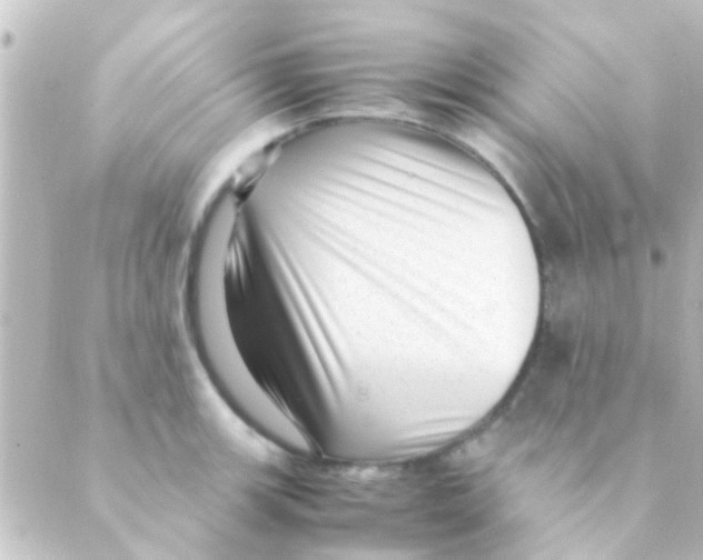 X0000088661139200706221629