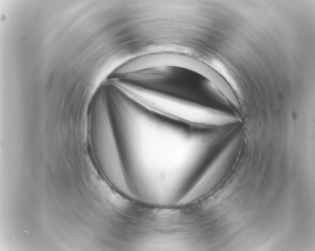 X0000088661140200706221629
