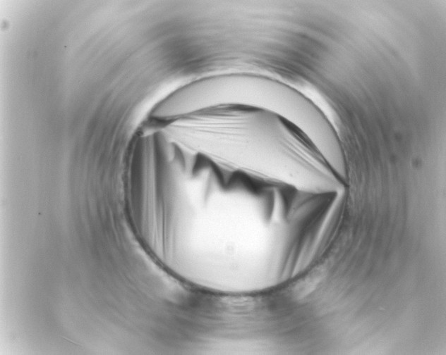 X0000088661142200706221629