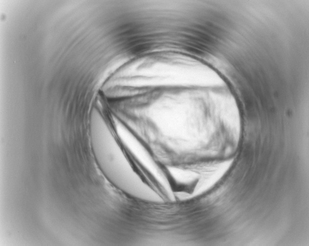 X0000088661145200706221629