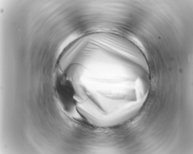 X0000088661146200706221629