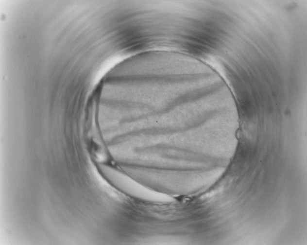 X0000088661147200706221629
