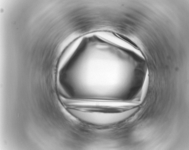 X0000088661151200706221629