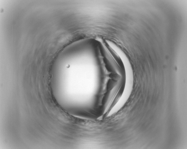 X0000088661153200706221628