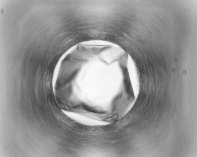 X0000088661154200706221628