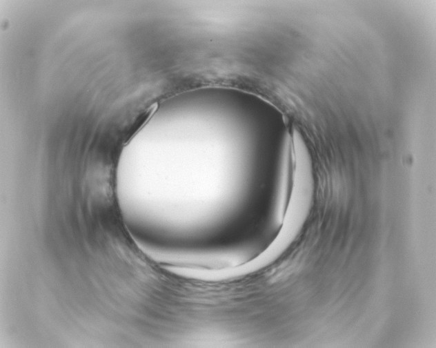 X0000088661156200706221628