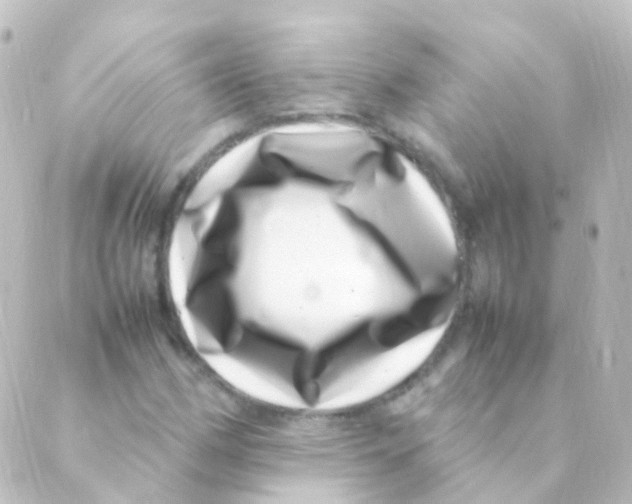 X0000088661162200706221628
