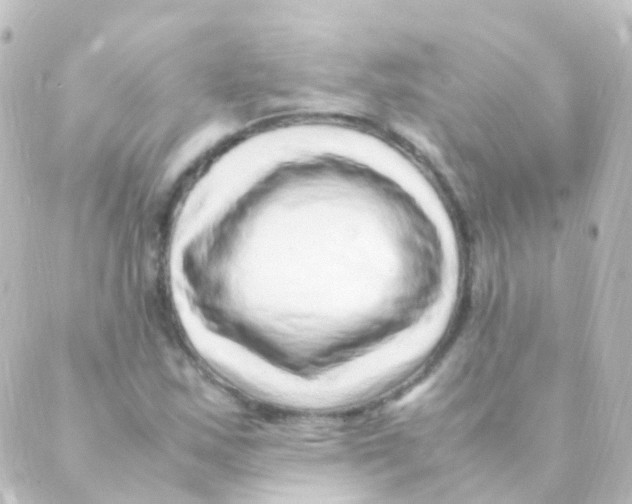 X0000088661163200706221628