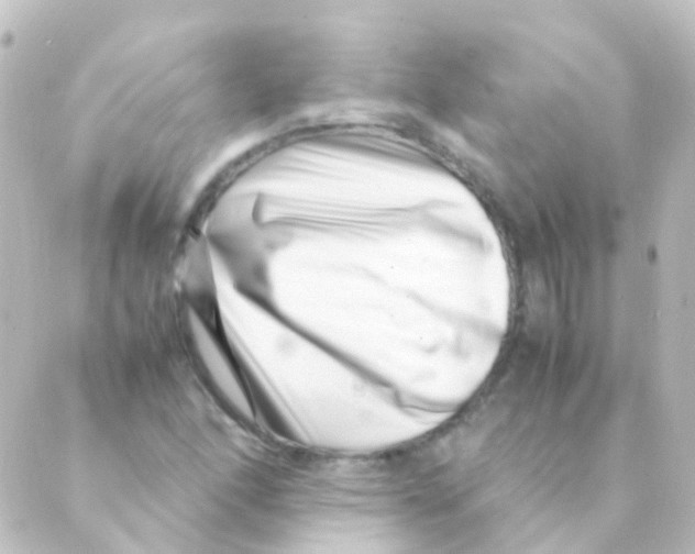 X0000088661166200706221628