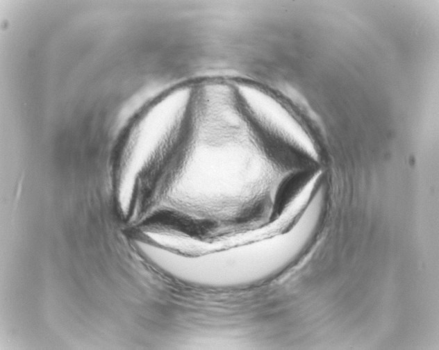 X0000088661167200706221628