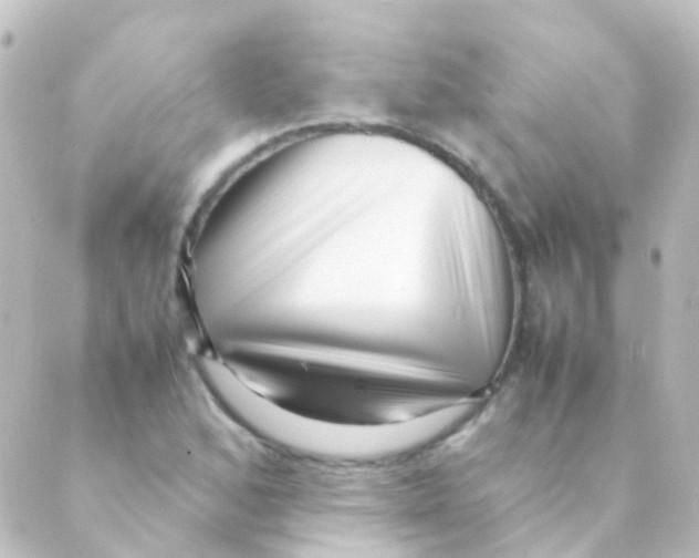 X0000088661168200706221628