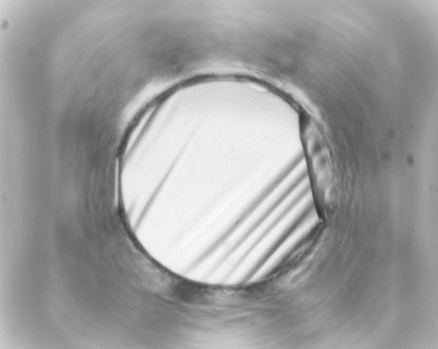 X0000088661175200706221628