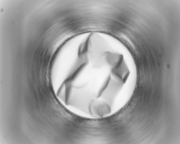 X0000088661182200706221628
