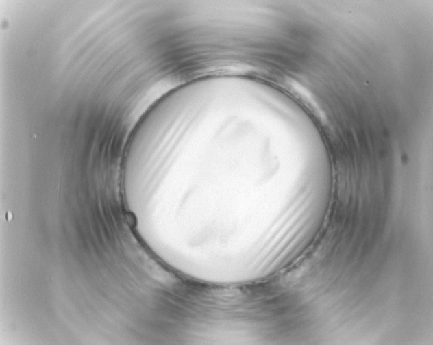 X0000088661186200706221628