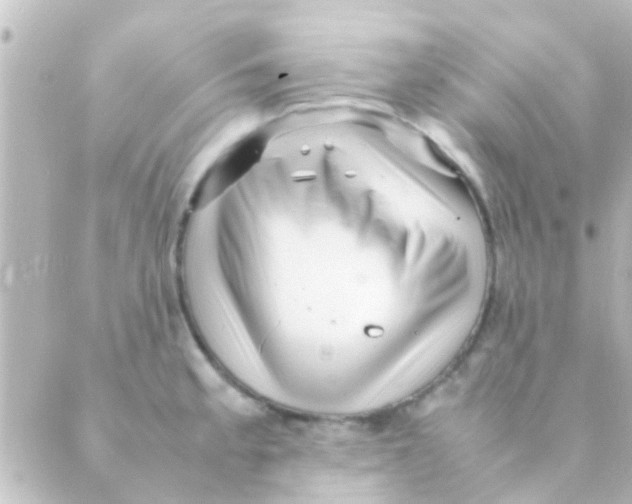 X0000088661189200706221628