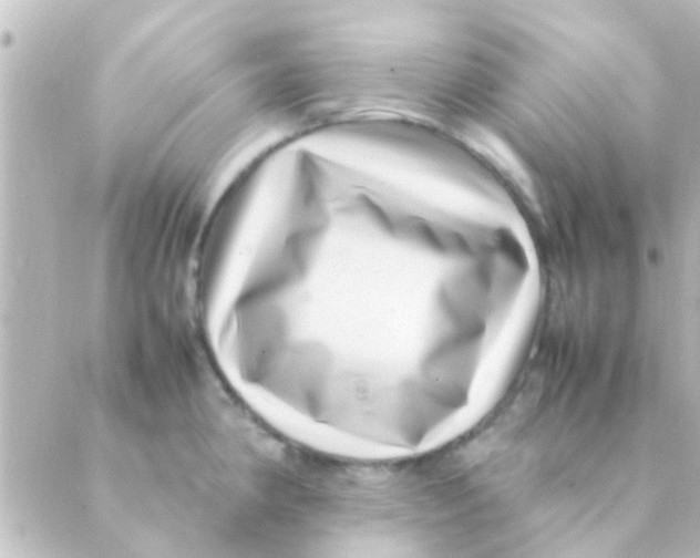 X0000088661190200706221628