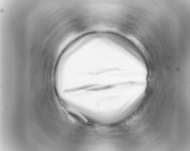 X0000088661191200706221628