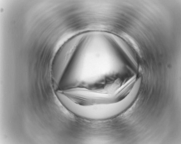 X0000088661192200706221627