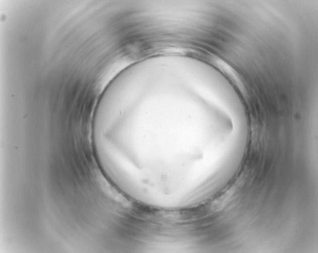 X0000088661194200706221627