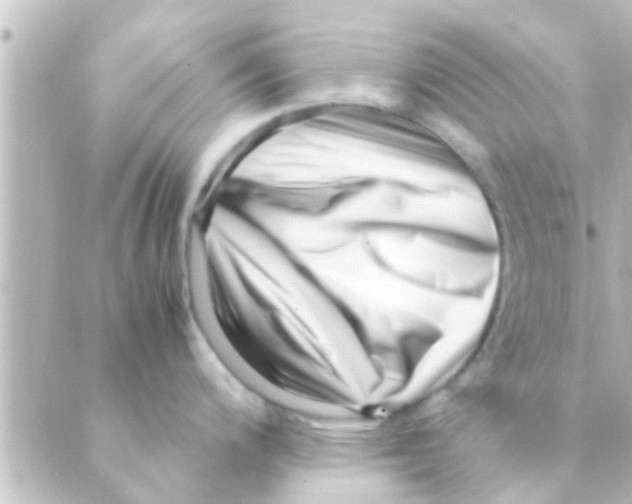 X0000088661200200706221627