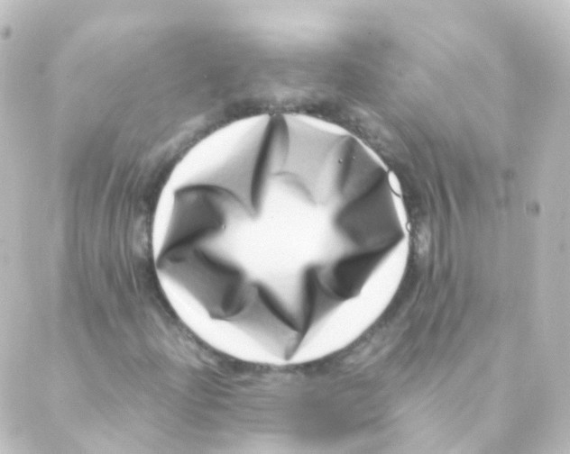 X0000088661204200706221627