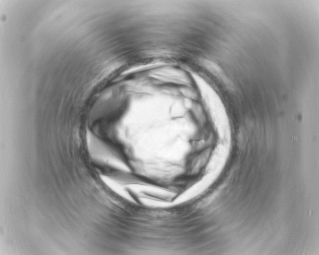 X0000088661209200706221627